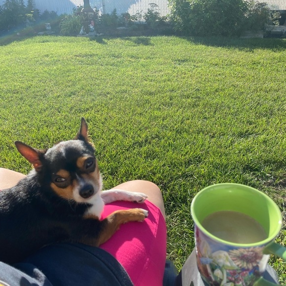 Silent 🤫 Show Notification 💕​ - Picture 11 of 15